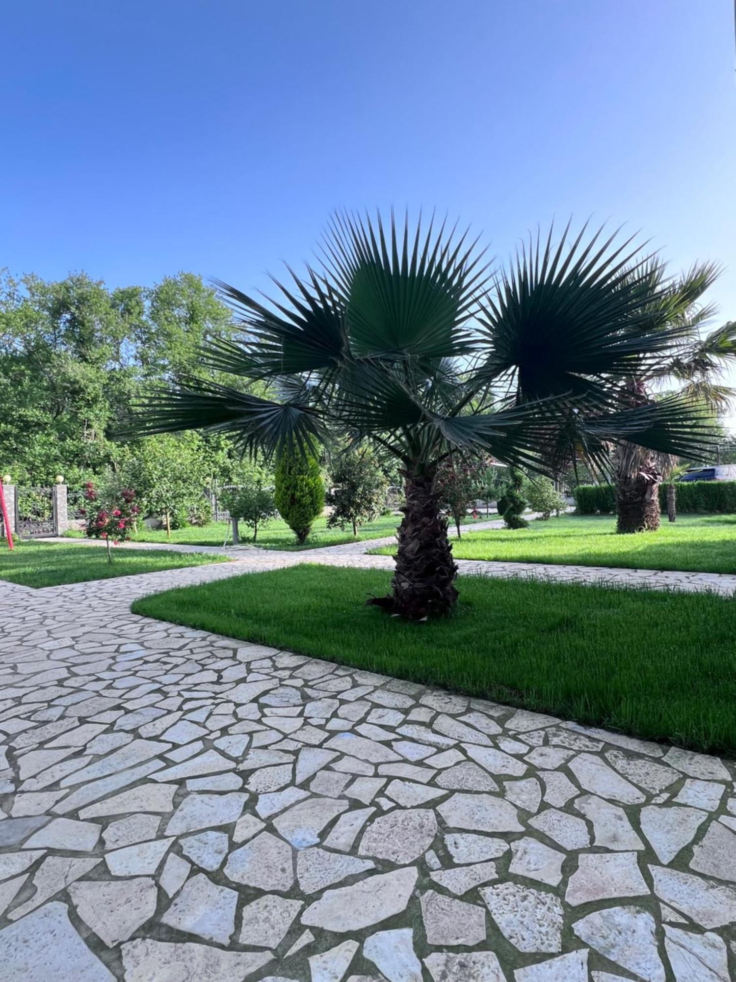 Residence Leora Улцинь Экстерьер фото